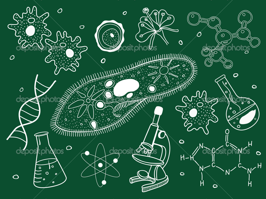 Nature：科学家找到杀死抗药细菌的新靶点