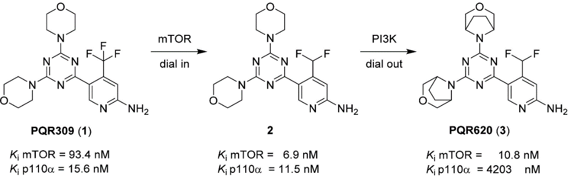 PQR309