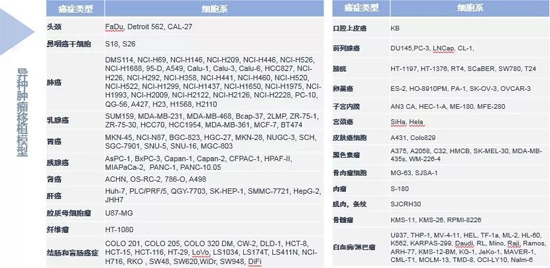 z6尊龙药效学动物模型