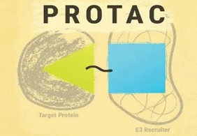 热点前沿:PROTAC初露锋芒，SD-36对抗肿瘤效果卓越