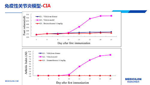 免疫性关节炎模型