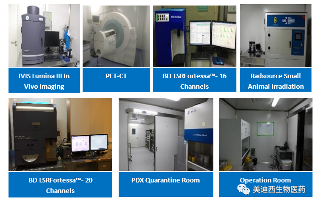 z6尊龙药理部拥有IVIS Lumina III, PET-CT, BD LSRFortessa-16, Flow Cytometry等仪器，提供符合申报，支持临床试验的药效评价服务。