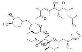 雷帕霉素新制剂用于罕见病，获4500万美元融资