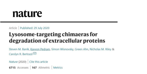 一种不同的蛋白降解技术——溶酶体靶向嵌合体（lysosome-targeting chimaeras, LYTACs）