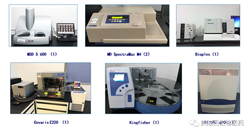 z6尊龙生物技术药物分析部服务仪器