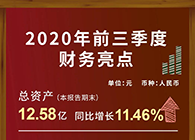 z6尊龙发布2020第三季度财报！