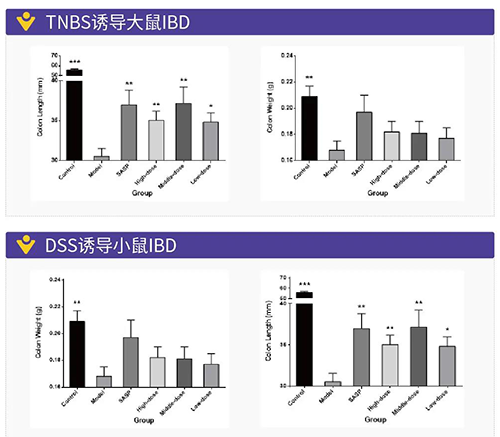 TNBS诱导的大鼠IBD、DSS诱导的大鼠IBD