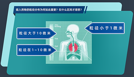 吸入药物的粒径分布为何如此重要？在什么区间才理想？