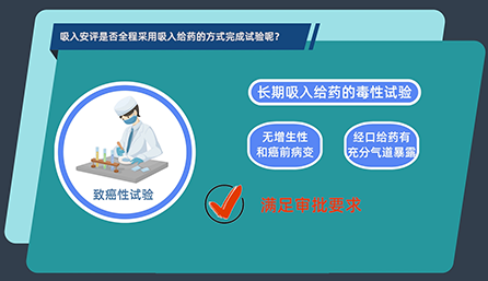 吸入安评是否全程采用吸入给药的方式完成试验呢？