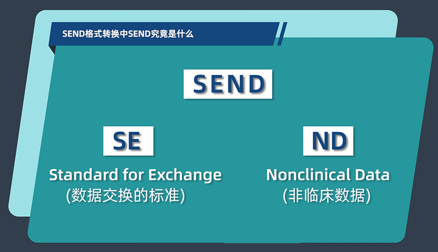 SEND格式转换中的SEND究竟是什么？