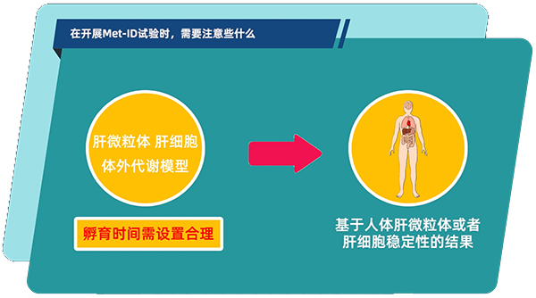 肝微粒体、肝细胞体外代谢模型中，孵育时间需设置合理.jpg