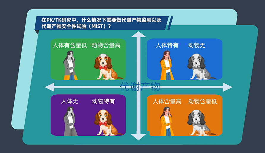 在PK-TK研究中，什么情况下需要做代谢产物监测以及代谢产物安全性试验（MIST）