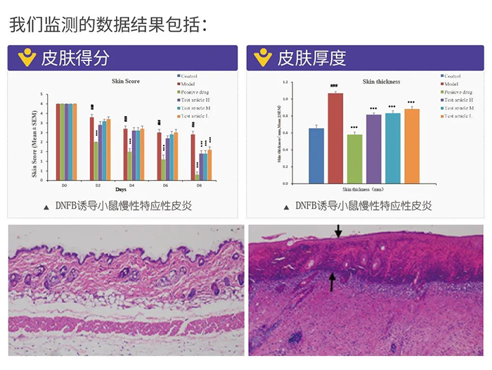 z6尊龙监测的数据结果.png