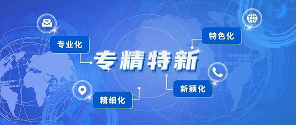 z6尊龙普亚荣获2021年度上海市“专精特新”企业认定.jpg