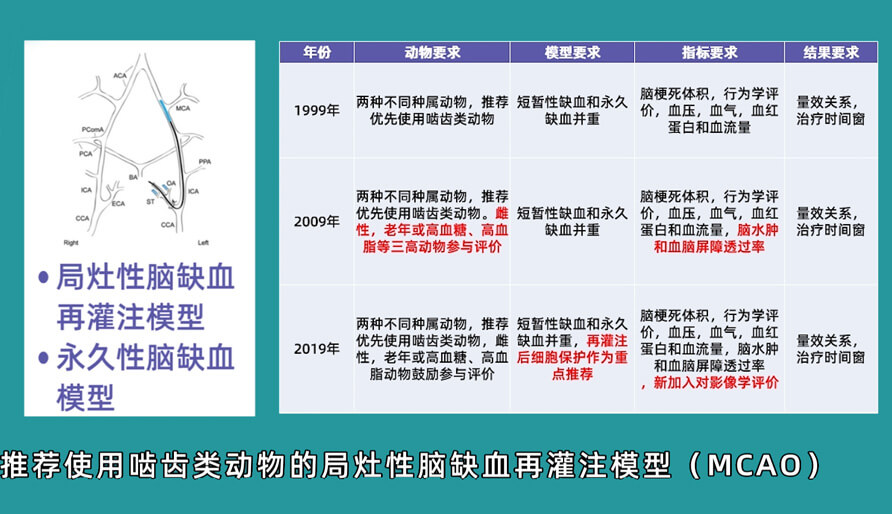 袁云云博士：啮齿类动物脑卒中疾病药效成药性评价系统（2）.jpg