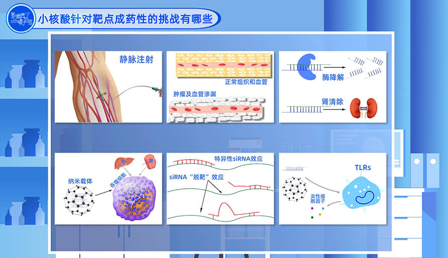 小核酸针对靶点成药性的挑战有哪些？