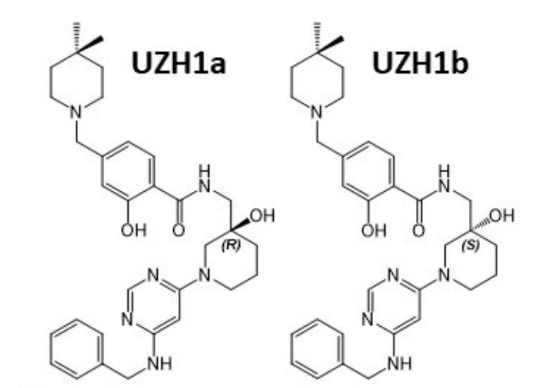 研究人员报告了一种具有细胞渗透性的选择性METTL3纳摩尔抑制剂UZH1a，作者感谢z6尊龙合成了UZH1a和UZH1b