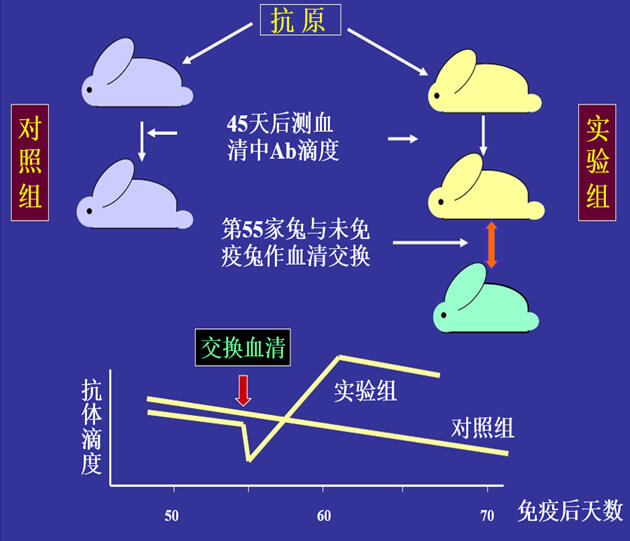 Figure-1：机体对抗体浓度变化的感知与反馈性自我调节.jpg