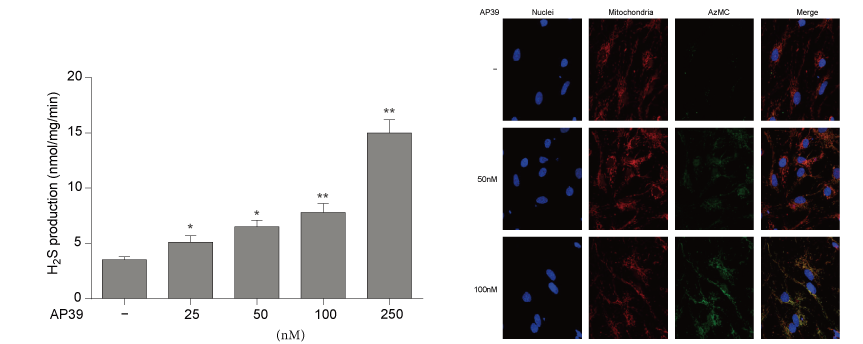 AP39是一种新合成的线粒体靶向的H2S供体，本研究中AP39通过z6尊龙设计和合成