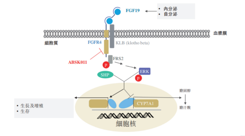 图源：公开资料.jpg