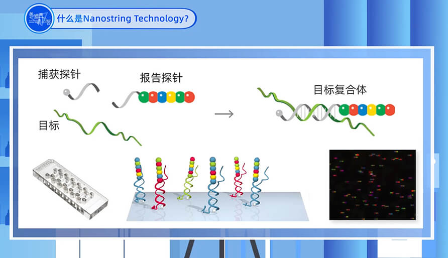 什么是Nanostring 技术？