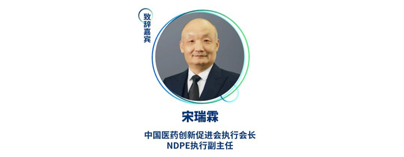 宋瑞霖--中国医药创新促进会执行会长、NDPE执行副主任.jpg