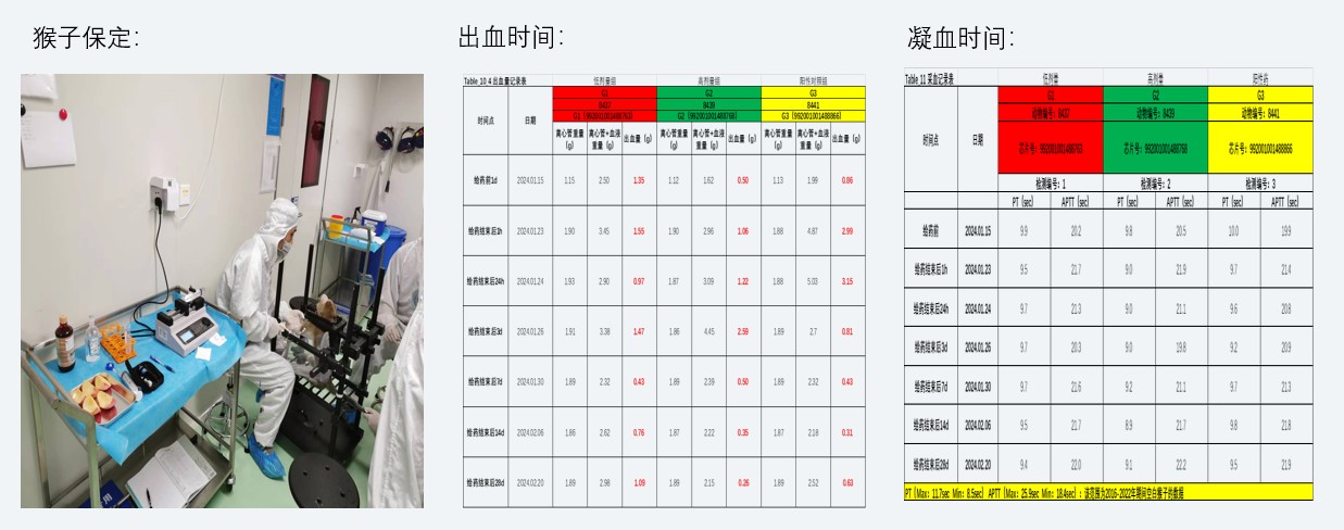 案例2：小分子抗凝药对食蟹猴出凝血功能影响.jpg