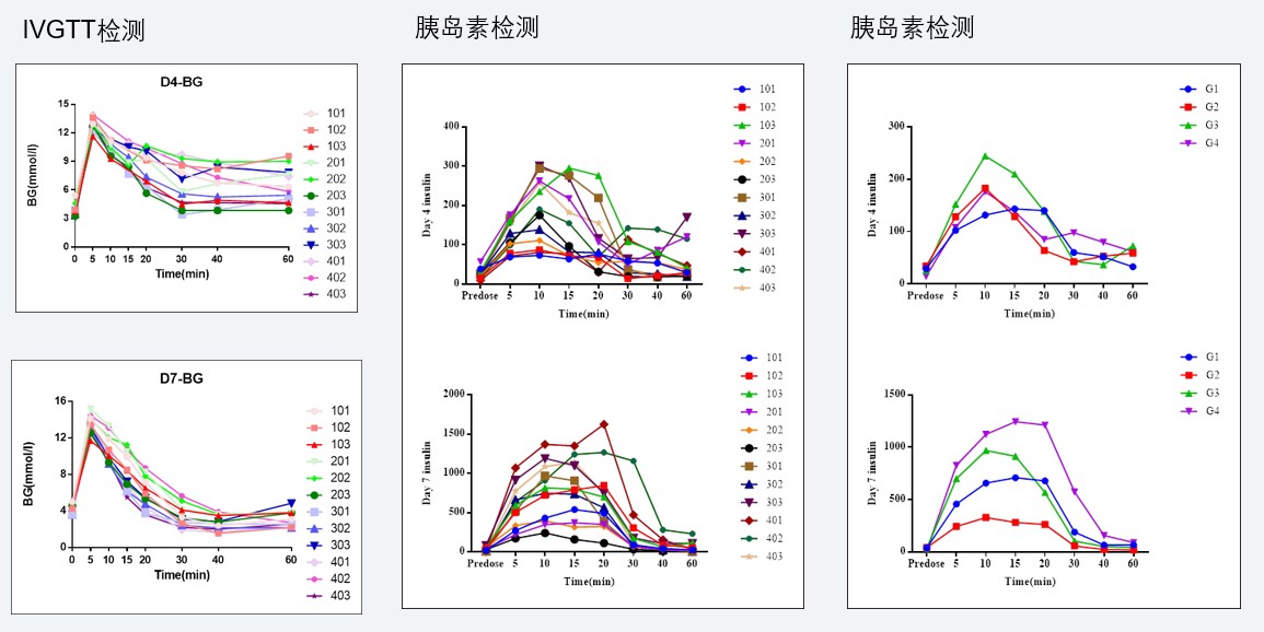 案例4：食蟹猴IVGTT和胰岛素检测实验.jpg